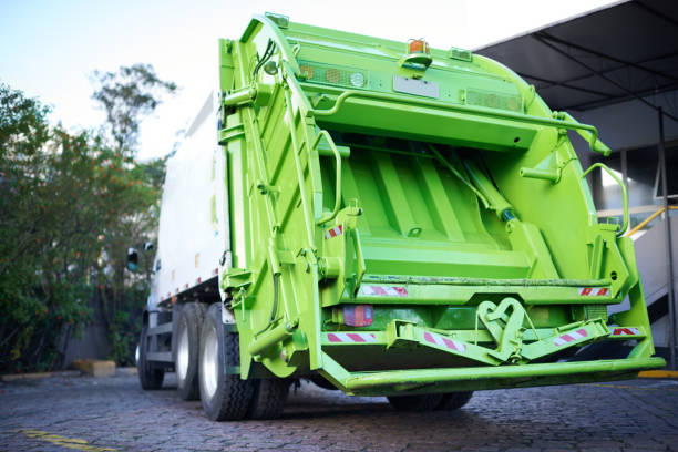 Yard Cleanup Services in Zolfo Springs, FL